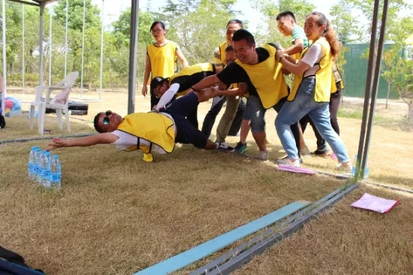 团体游戏黄鹂鸟攻略-黄鹂鸟团体游戏攻略