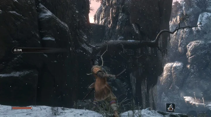 只狼全游戏攻略20-只狼高难度挑战攻略