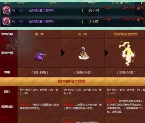 dnf哪个宠物比较厉害-DNF宠物选择指南