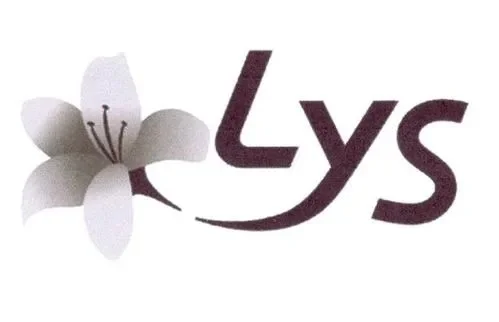 lys是什么意思-Lys旅游文化探索