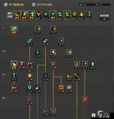 圣职者技能加点-圣职者加点策略