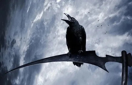 乌鸦之神的低语第二个预言-乌鸦神预言旅行启示