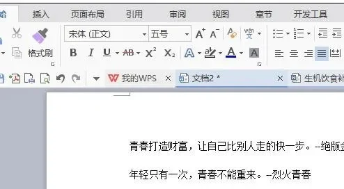 wps如何加页-WPS添加页面方法全解析