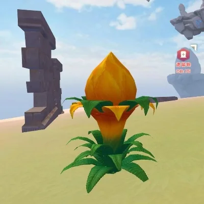 创造与魔法夕阳花必刷点-夕阳花必刷点指南