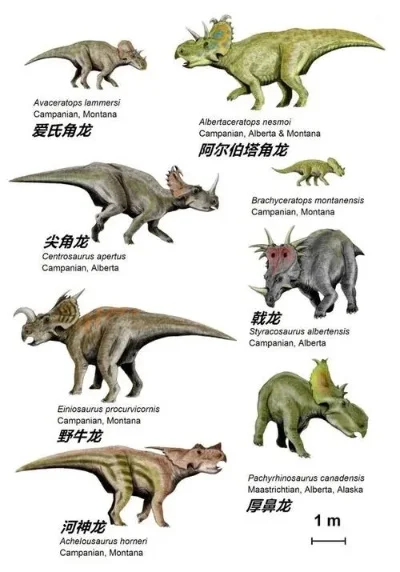 恐龙都有哪些种类-恐龙物种大图鉴