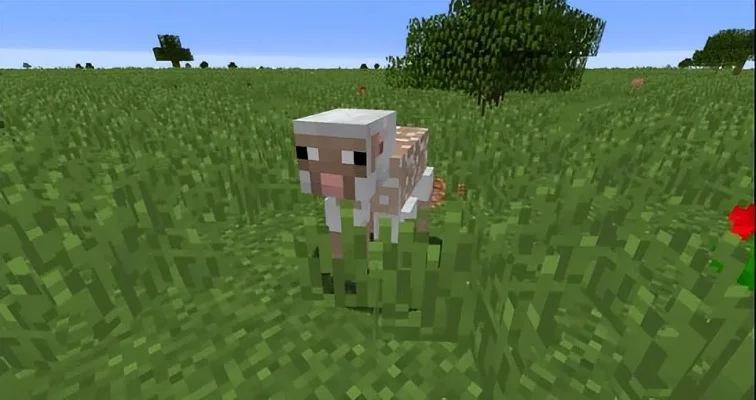 我的世界羊怎么驯服-我的世界羊的驯服方法