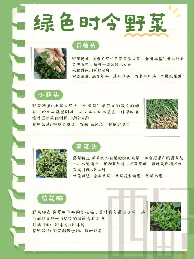 好玩的挖野菜手游排行榜-挖野菜手游排行榜