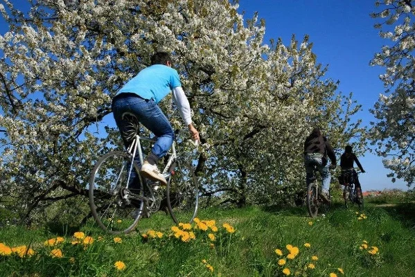 春天的活动有哪些-春季户外休闲好时光