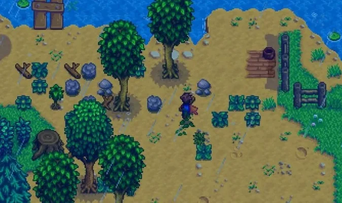 星露谷物语纤维怎么刷-星露谷纤维采集方法