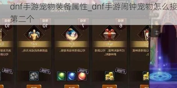 dnf手游宠物品质等级-dnf手游宠物品质等级详解