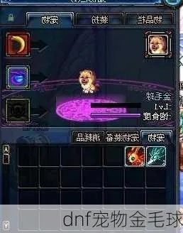 dnf金色宠物-DNF金色宠物魅力获取
