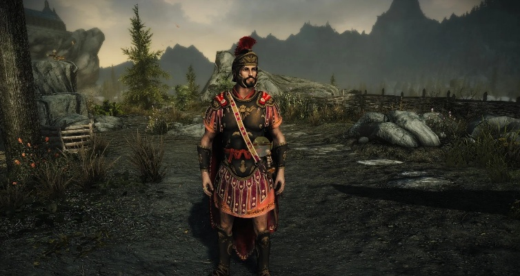 上古卷轴5重甲和轻甲哪个好-重甲轻甲防御选择