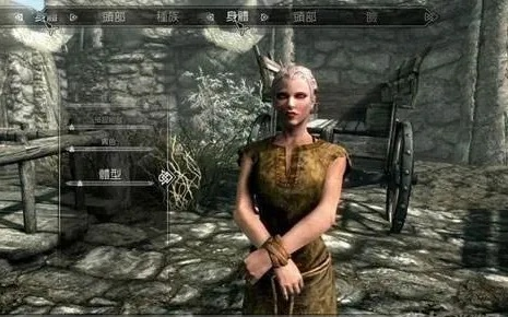 上古卷轴5七大隐藏内容-卷轴5隐藏内容揭秘