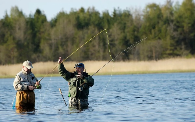 如何才能钓到鱼-钓鱼技巧全掌握
