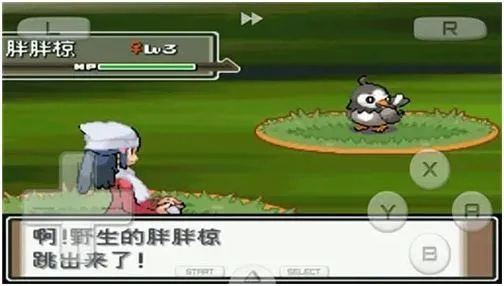 口袋妖怪银魂工具宠-银魂工具宠助战法