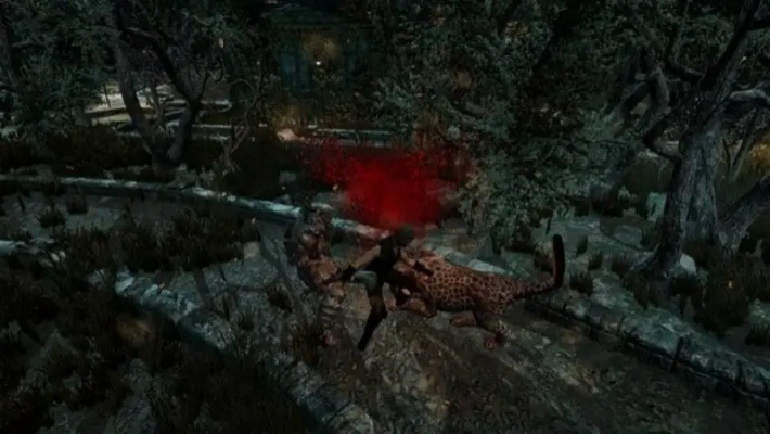 厄尔塞拉怎么打这个boss-厄尔塞拉击杀攻略全解析