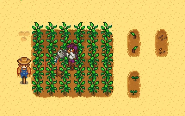 星露谷物语草莓复活节种下-星露谷草莓复活种指南