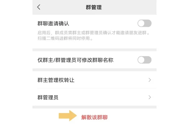 群解散了怎么恢复-解散群组恢复指南