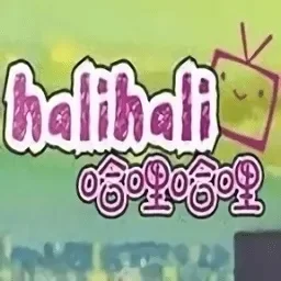 哈哩哈哩怎么打不开-哈哩哈哩启动故障排查