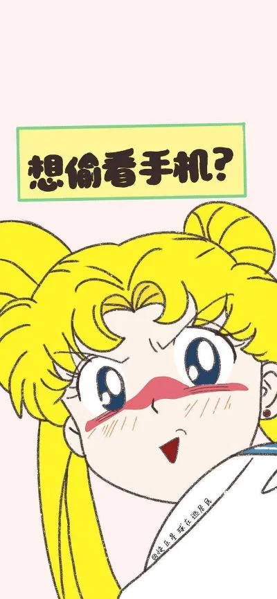想偷看我手机壁纸-壁纸隐私安全博弈