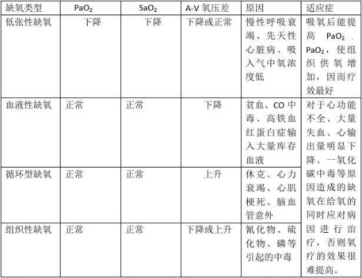 缺氧类型有哪些,如何分类和应对缺氧问题