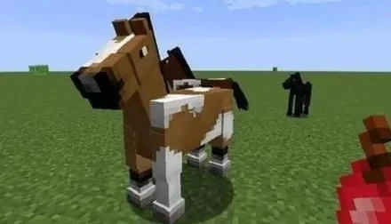 准备好金萝卜我的世界让马交配繁殖的方法-金萝卜繁殖马匹方法
