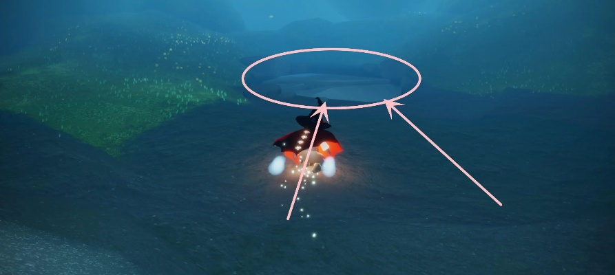 雨林鱼叫先祖位置