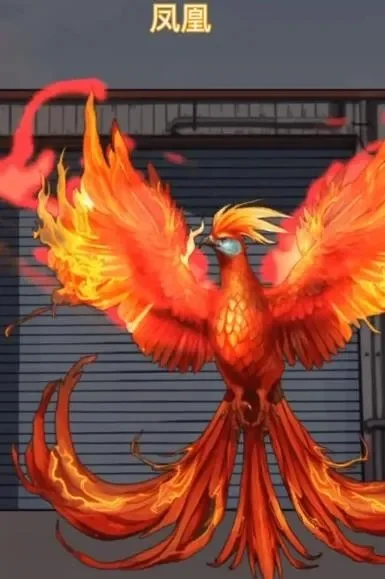 从今天开始养凤凰-培养神兽凤凰指南