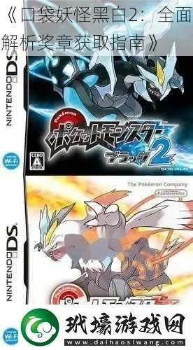 口袋妖怪黑白2游戏简介-黑白2：探索与挑战