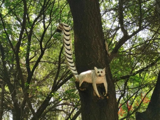 树上的动物有哪些