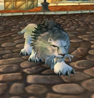 魔兽世界稀有宠物刷新时间全解析,如何高效蹲守稀有宠物