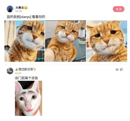 给个沙雕拍拍干什么？-沙雕行为心理探析