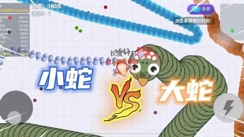 大蛇吃小蛇好玩吗-大蛇吃小蛇的魅力解析