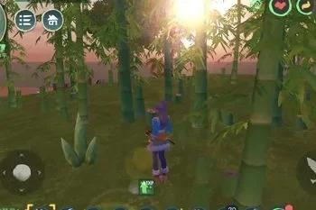 创造与魔法竹笋山在哪-创造魔法竹笋山指南