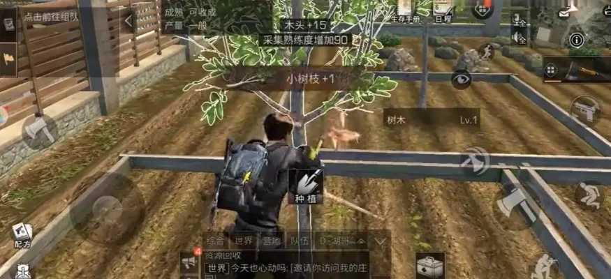 明日之后小树枝-明日之后树枝很重要