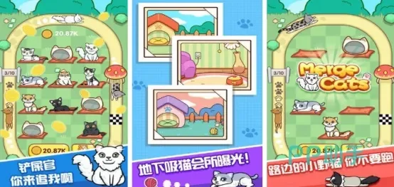 看你怎么秀猫咪去哪了攻略-看你怎么秀猫咪攻略