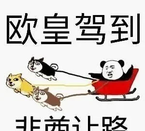 非酉和欧皇是什么意思-游戏术语欧皇非酉解析