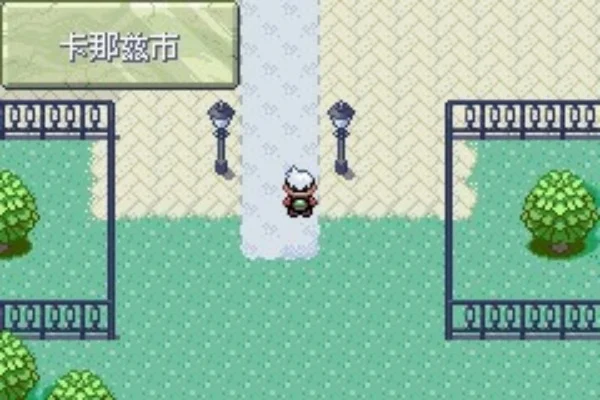 口袋妖怪雪之白游戏攻略秘籍-雪之白游戏攻略秘籍