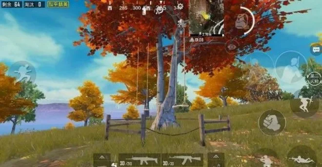 和平精英枫叶林-枫叶林战略价值高