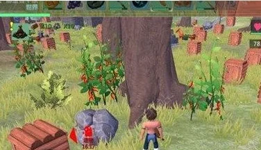 创造与魔法辣椒位置图2021-创造与魔法辣椒图指南