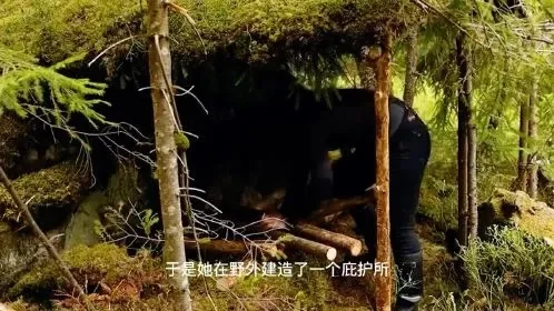 荒野求生庇护所攻略