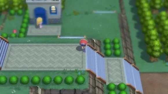 宝可梦晶灿钻石攻略秘籍-宝可梦钻石进阶攻略