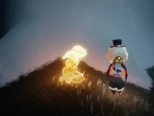 雨林先祖怎么过,生存智慧解密,原始部落与现代启示