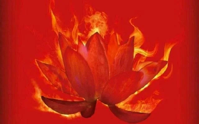 红莲业火在哪获取？-红莲业火获取方法