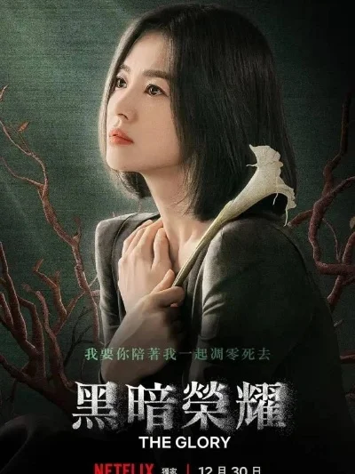 哈利波特之黑色荣耀-黑暗荣耀：光明与黑暗的选择