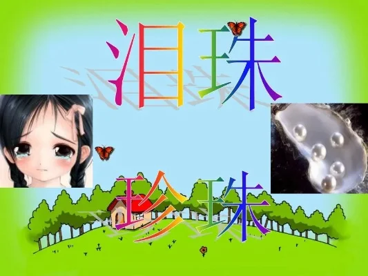 泪珠雨伞哪里多-泪珠雨伞分布指南