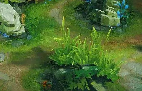 王者荣耀蹲草丛会被发现吗,草丛视野机制全解析,如何完美隐藏