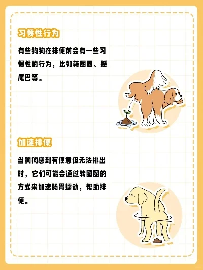 萌犬便便便怎么一转-萌犬便便一转攻略