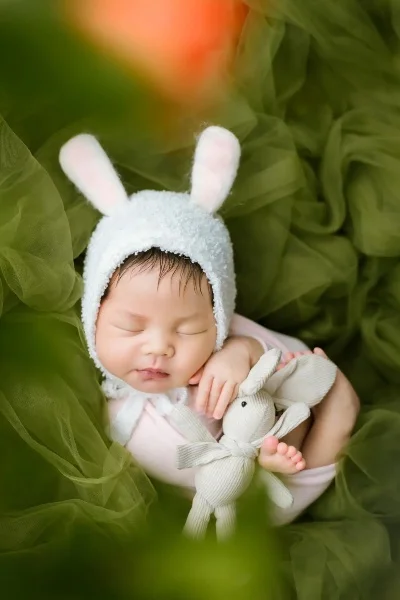 可爱宝贝兔宝宝(Baby-萌系养成治愈之旅