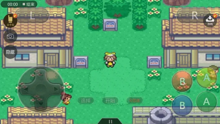 口袋妖怪：心魂之羽游戏攻略秘籍-口袋妖怪心魂之羽攻略秘籍